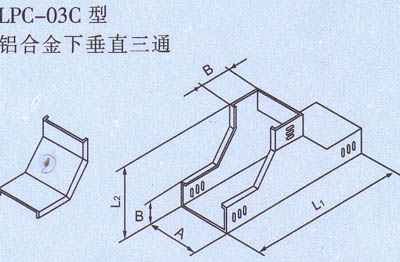 Ŵ